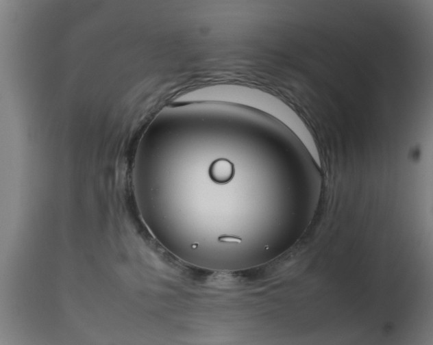 X0000112490231200908241333