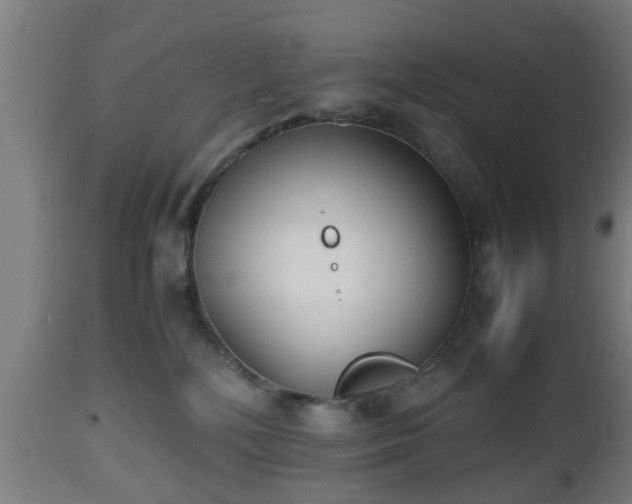 X0000112490232200908241333