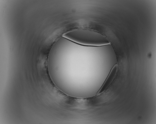 X0000112490233200908241333