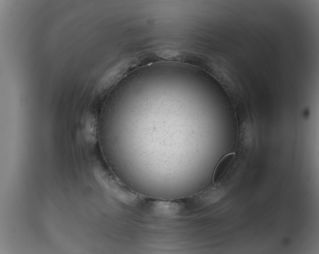 X0000112490234200908241333