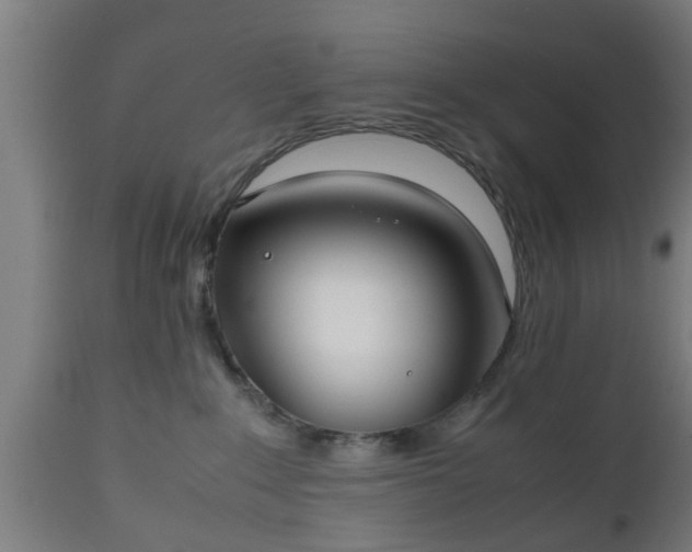 X0000112490235200908241333