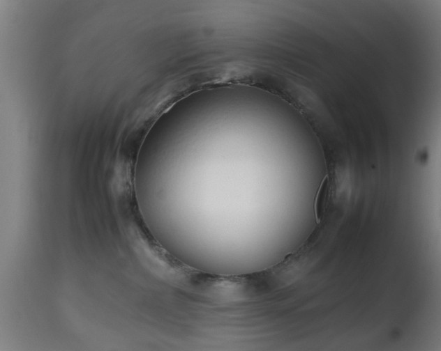 X0000112490236200908241333