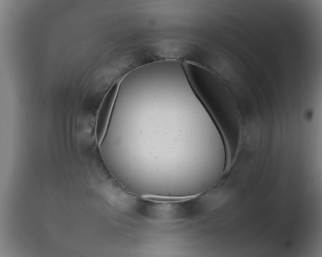 X0000112490237200908241333