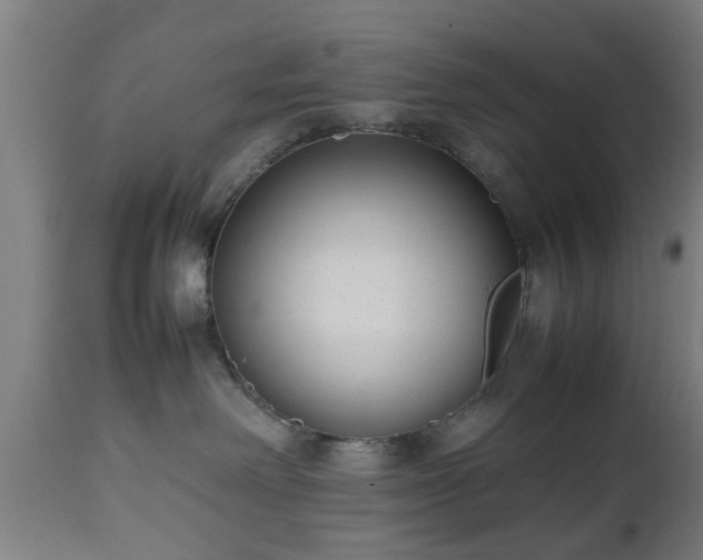 X0000112490238200908241333