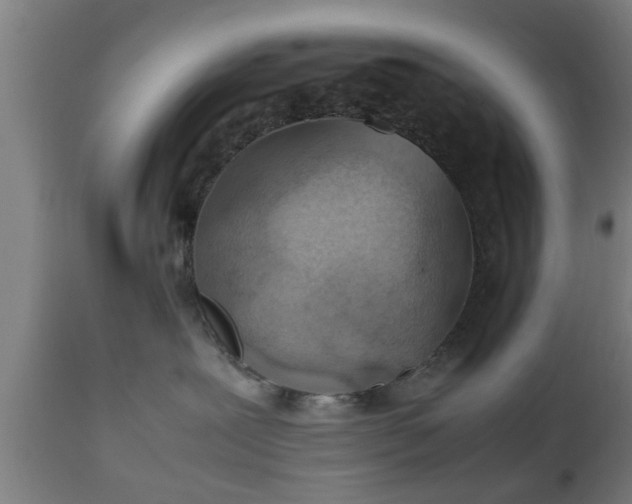 X0000112490239200908241333