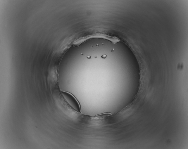 X0000112490240200908241333