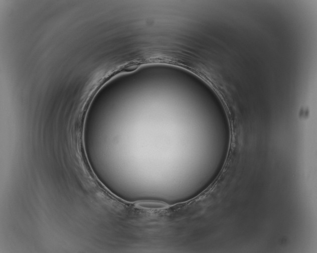 X0000112490241200908241332