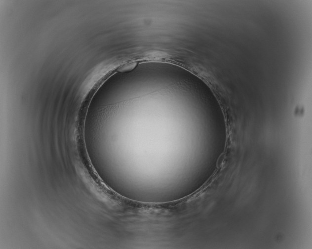 X0000112490242200908241332