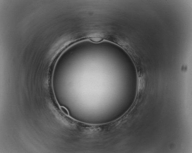 X0000112490243200908241332