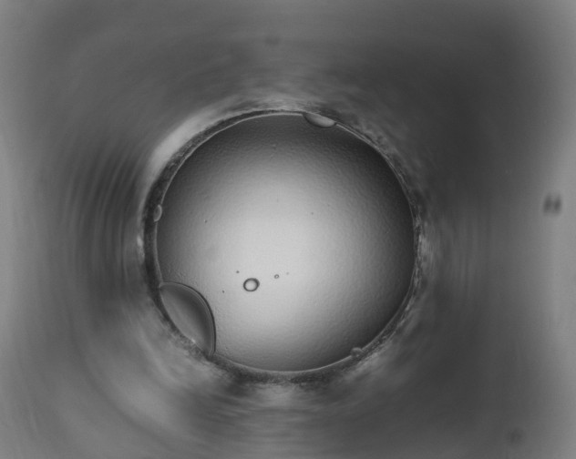 X0000112490246200908241333