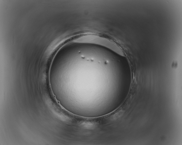 X0000112490247200908241333