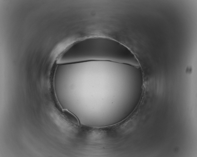 X0000112490248200908241333