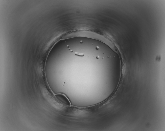 X0000112490249200908241333