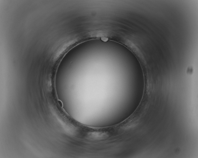 X0000112490251200908241333