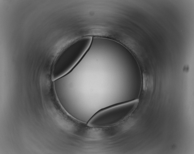 X0000112490252200908241333