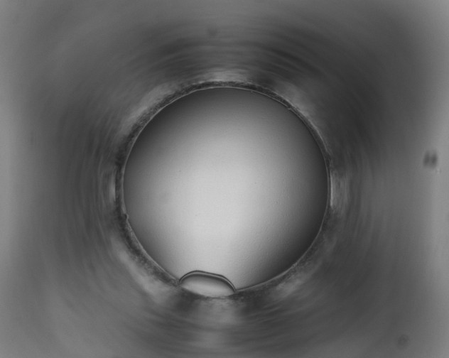 X0000112490253200908241333