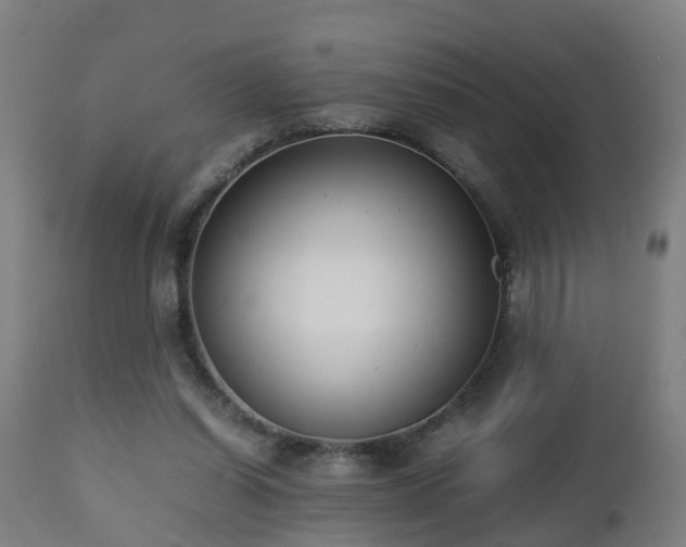 X0000112490254200908241333