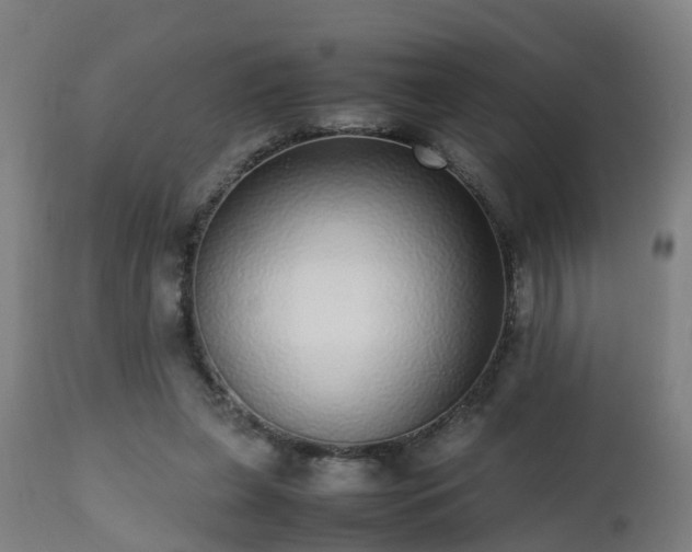 X0000112490255200908241333