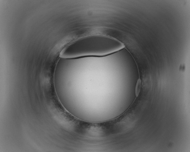 X0000112490256200908241333