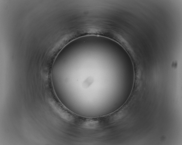 X0000112490257200908241333