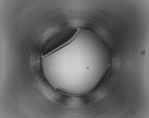 X0000112490260200908241333