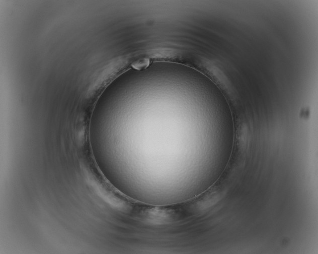 X0000112490261200908241333