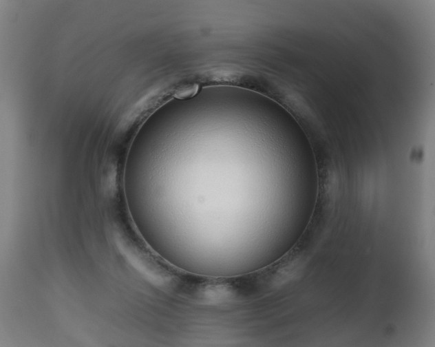 X0000112490262200908241333