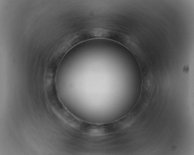 X0000112490263200908241333