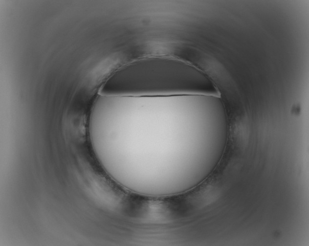 X0000112490264200908241333