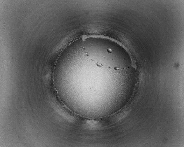 X0000112490265200908241333