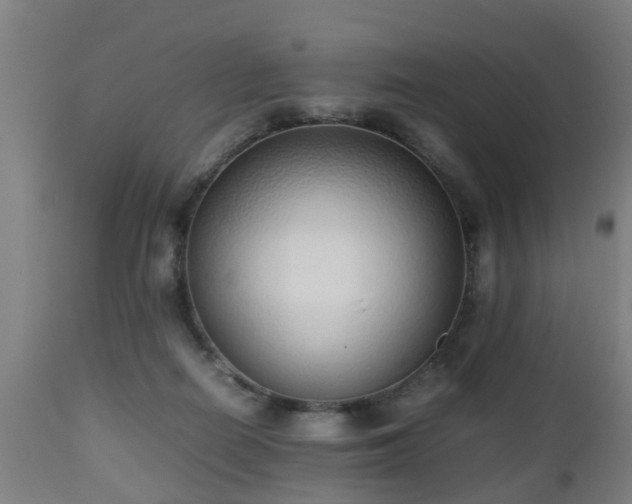 X0000112490266200908241333