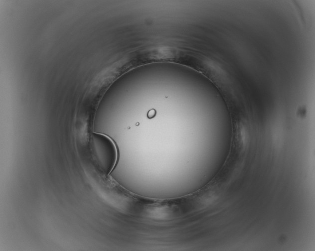 X0000112490267200908241333