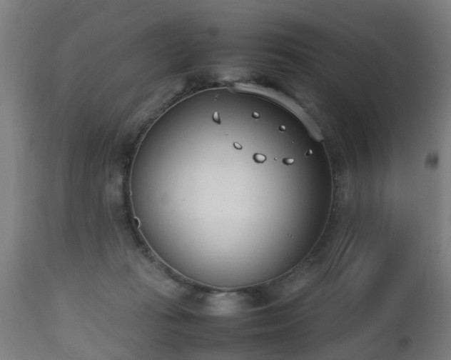 X0000112490269200908241333