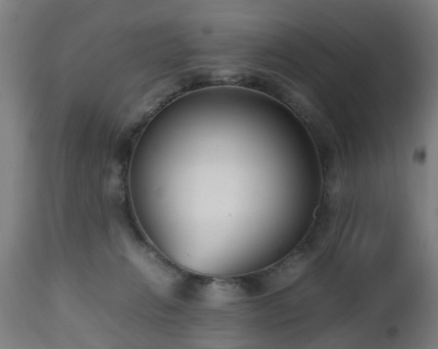 X0000112490270200908241333