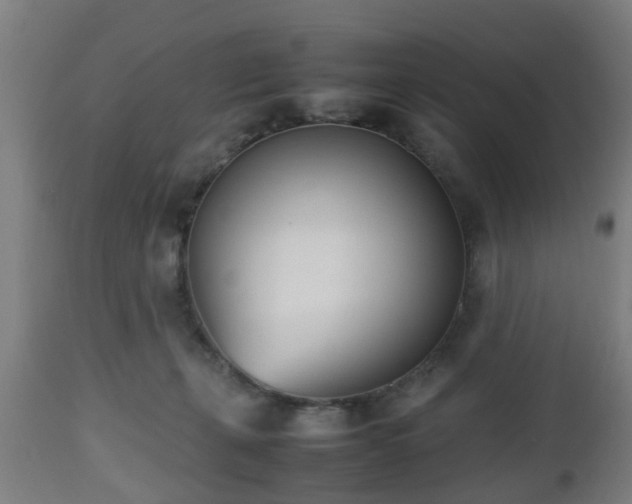 X0000112490271200908241333