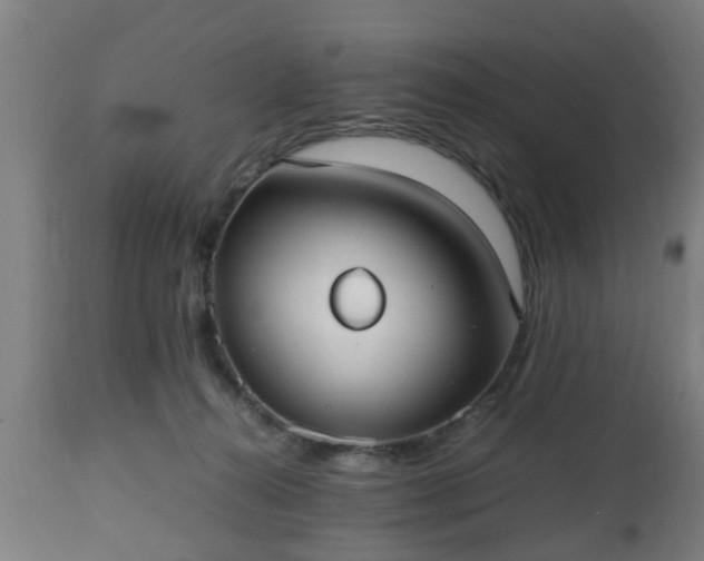 X0000112490272200908241333