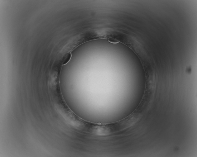 X0000112490275200908241333