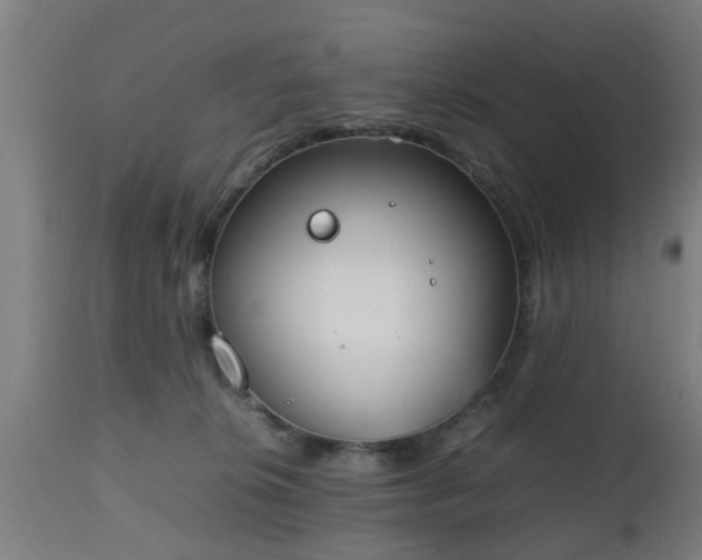 X0000112490276200908241333