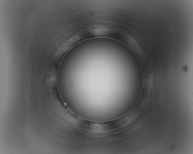 X0000112490277200908241333