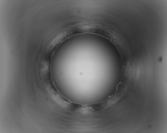 X0000112490278200908241333