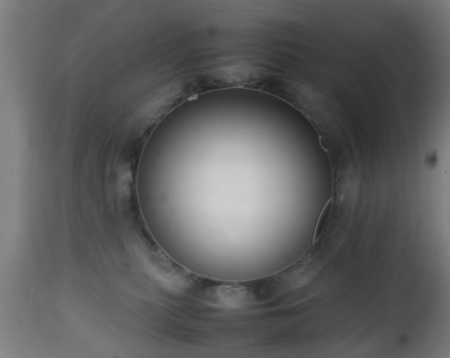 X0000112490279200908241333