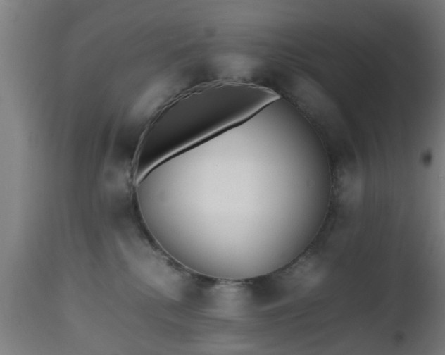 X0000112490280200908241333