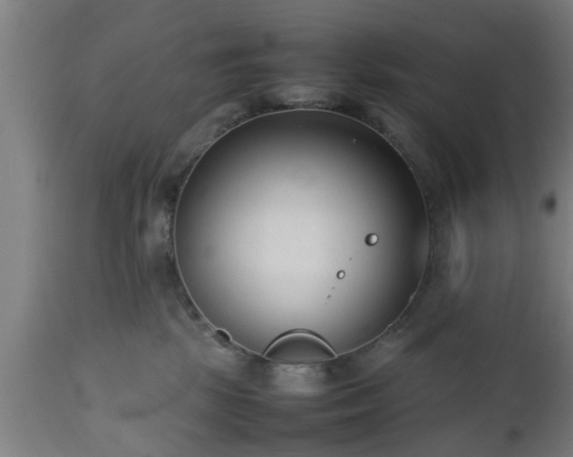 X0000112490281200908241333