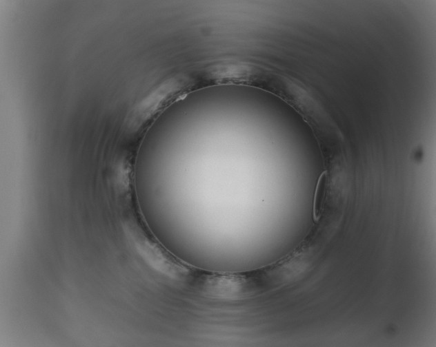 X0000112490282200908241333