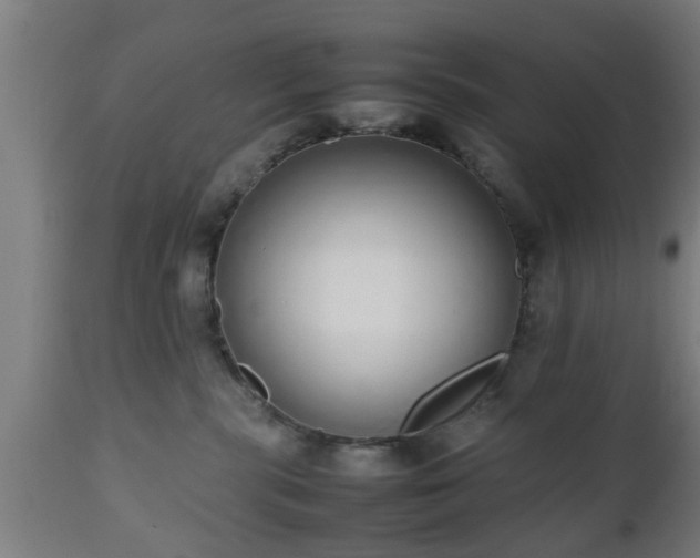 X0000112490283200908241333