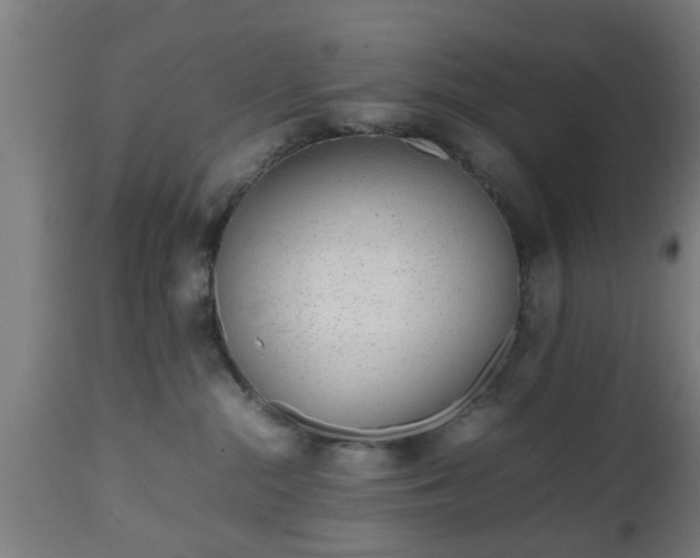 X0000112490284200908241333