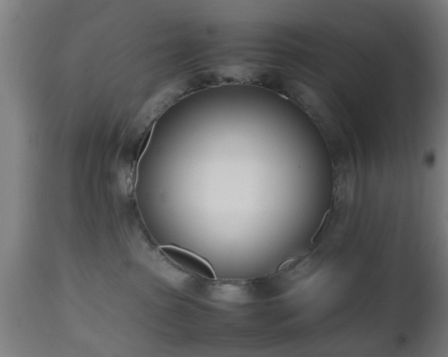 X0000112490285200908241333