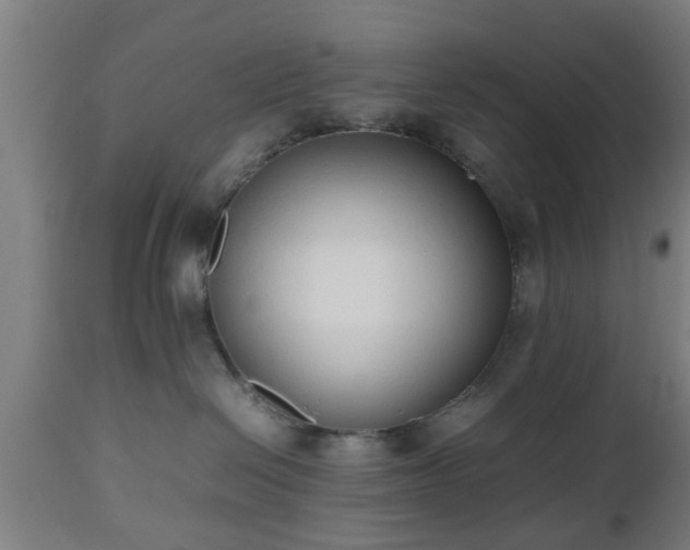 X0000112490286200908241333