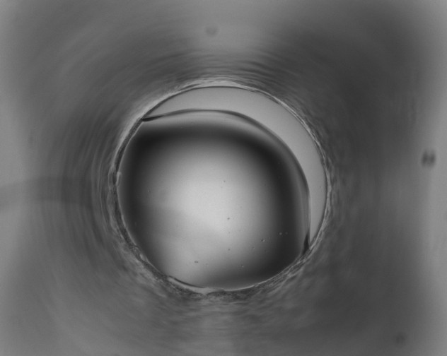 X0000112490289200908241332