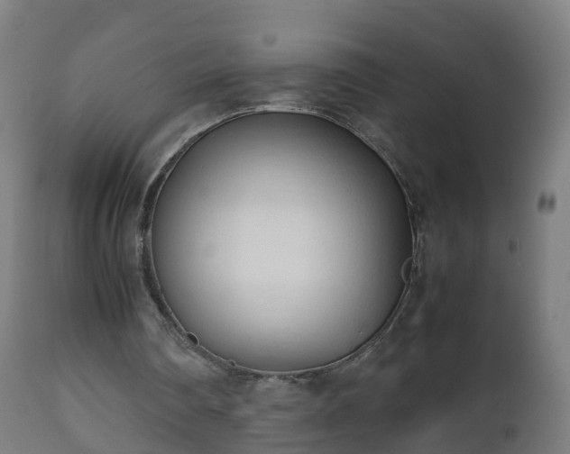 X0000112490290200908241332